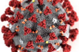 Informace a opatření k problematice epidemie koronaviru