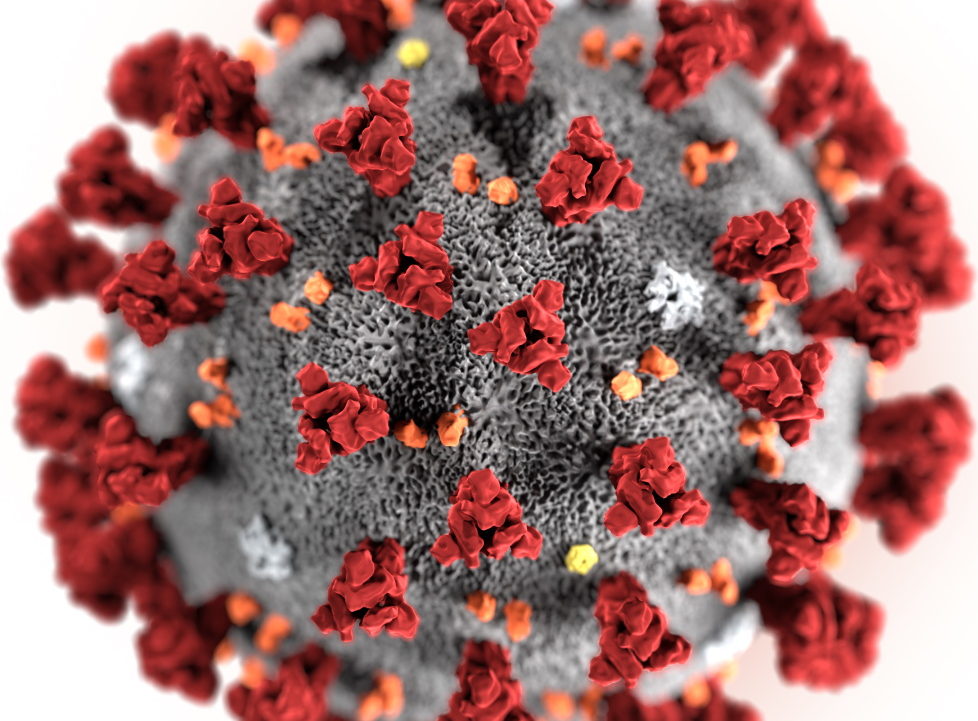 Informace a opatření k problematice epidemie koronaviru